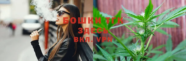 СК Алзамай