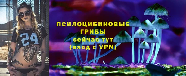 СК Алзамай