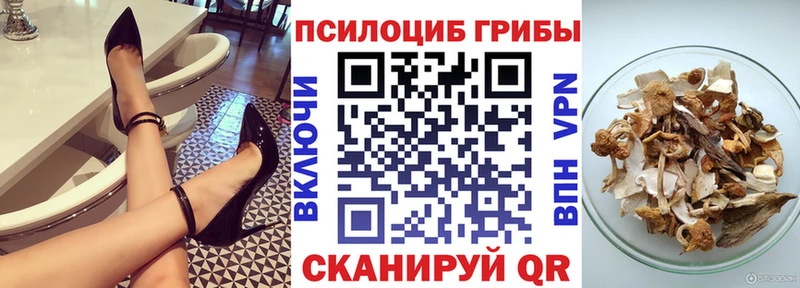 Галлюциногенные грибы ЛСД  где купить наркоту  Покачи 